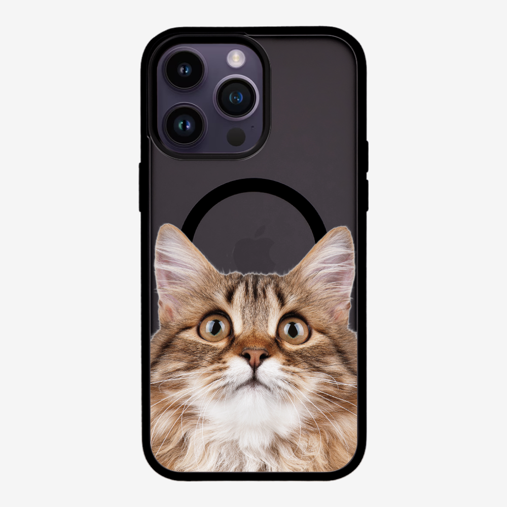 Long-haired Kitten (Transparent) Phone Case