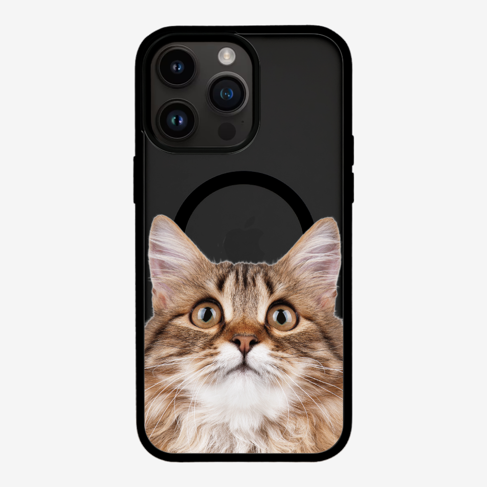 Long-haired Kitten (Transparent) Phone Case