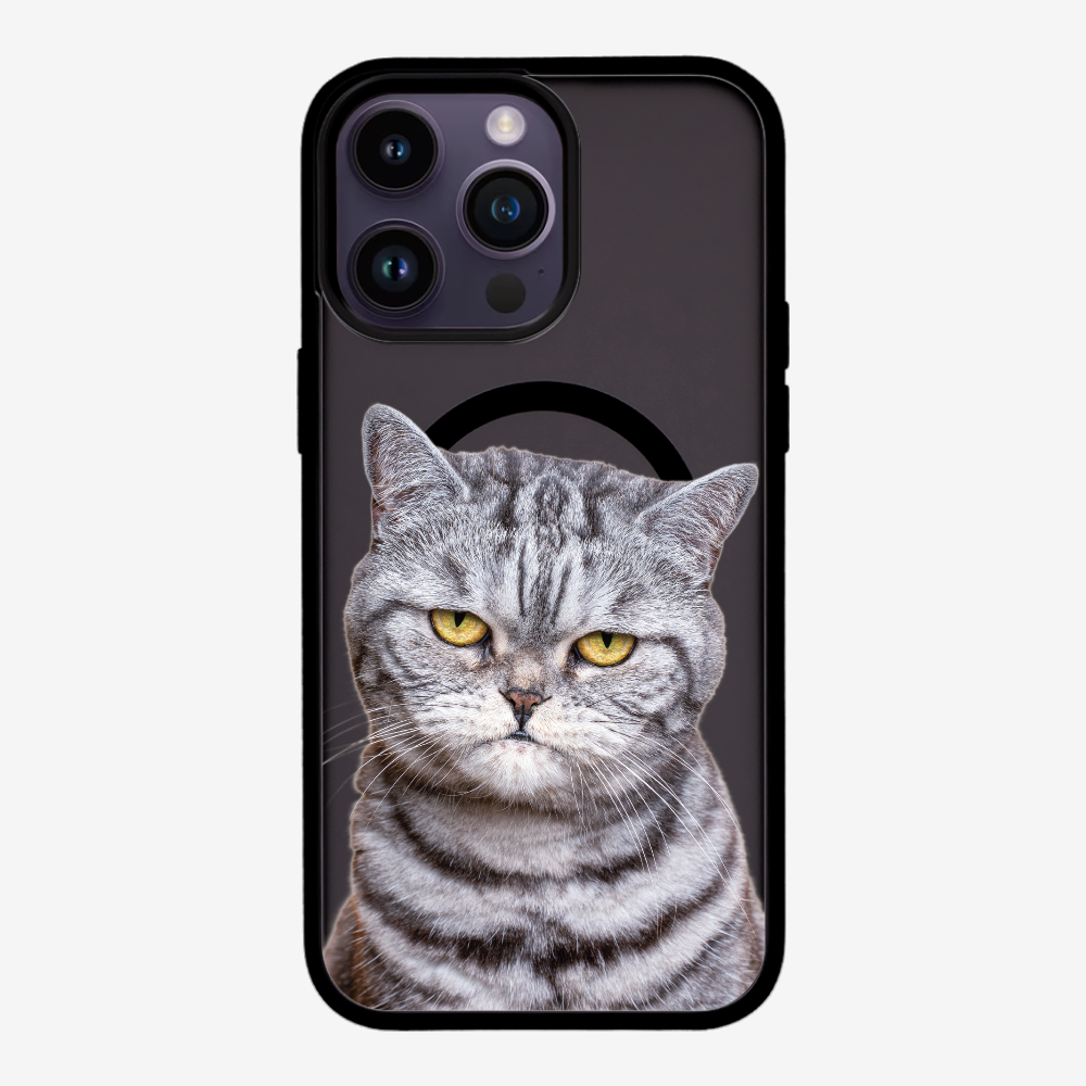 Silver Tabby (Transparent) Phone Case