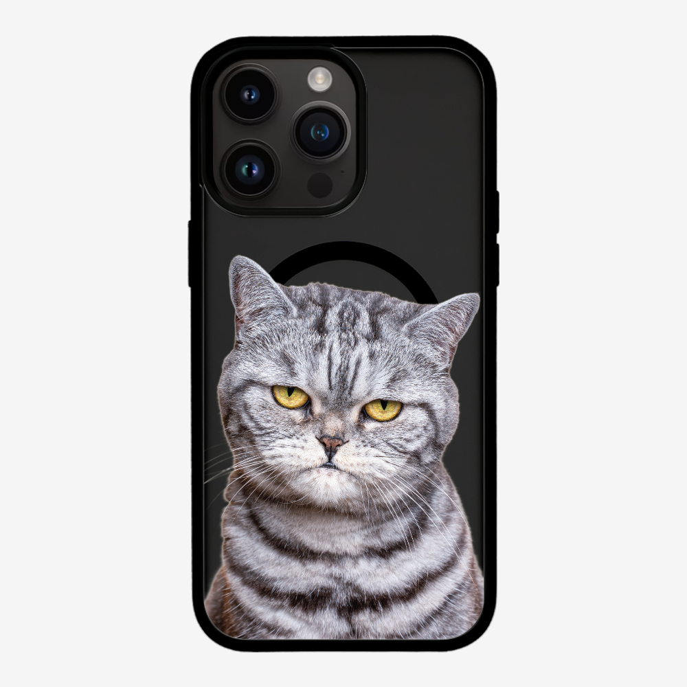 Silver Tabby (Transparent) Phone Case