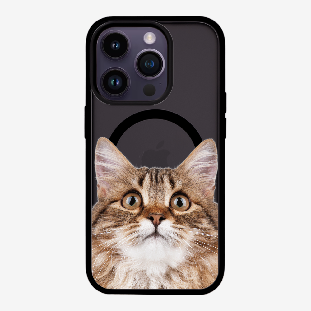 Long-haired Kitten (Transparent) Phone Case