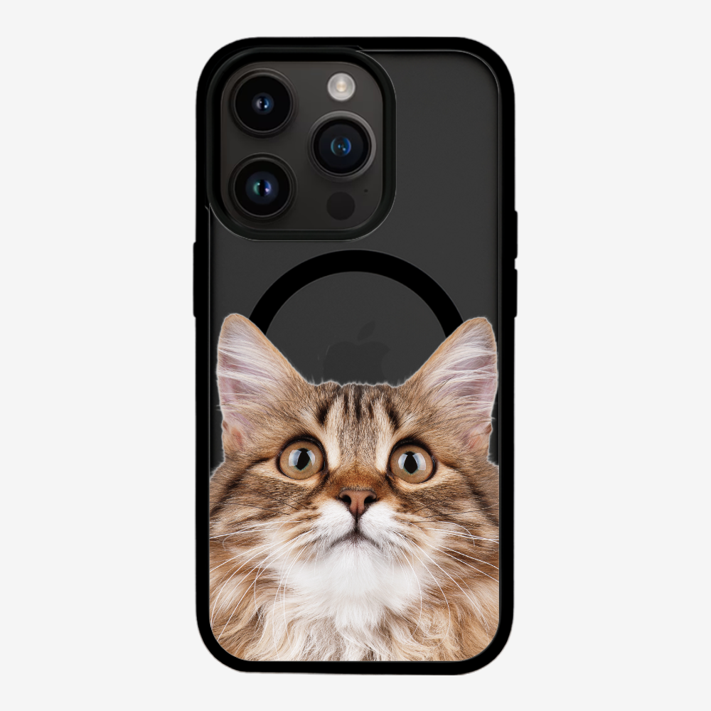 Long-haired Kitten (Transparent) Phone Case