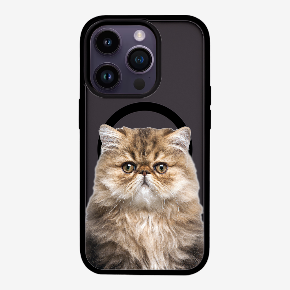 Persian Kitten (Transparent) Phone Case