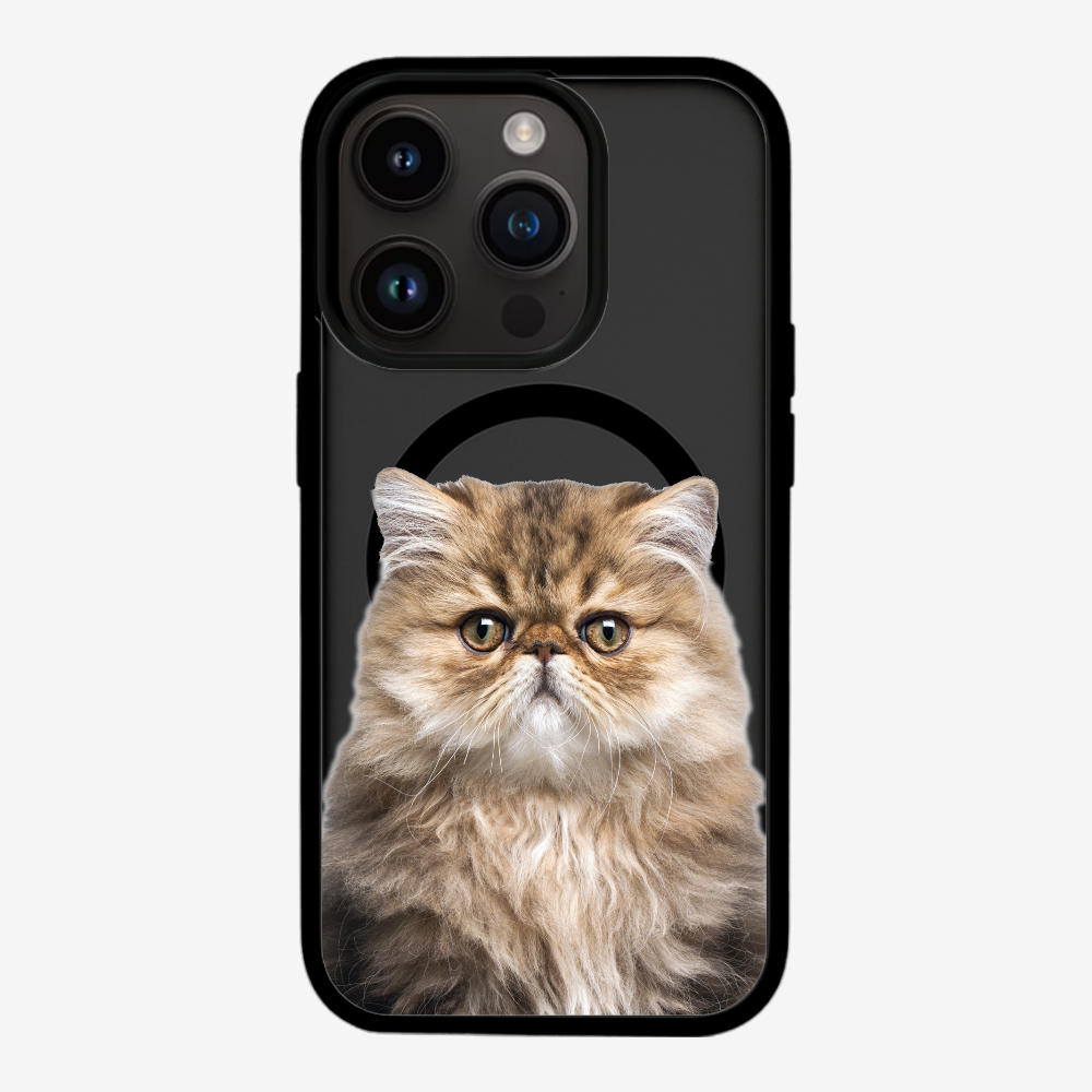 Persian Kitten (Transparent) Phone Case