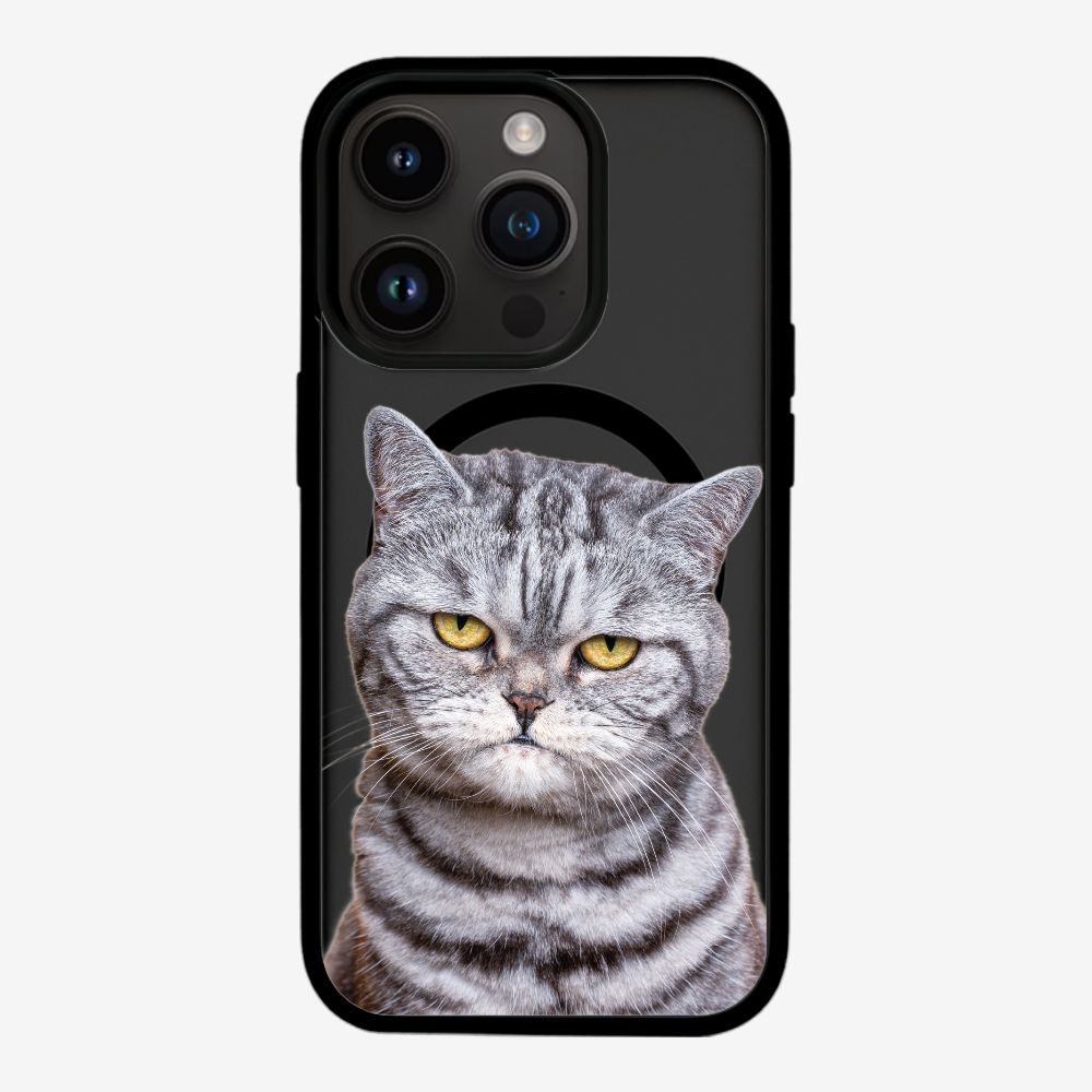 Silver Tabby (Transparent) Phone Case