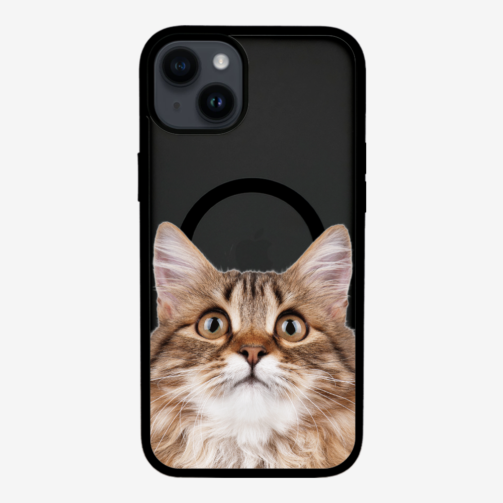 Long-haired Kitten (Transparent) Phone Case