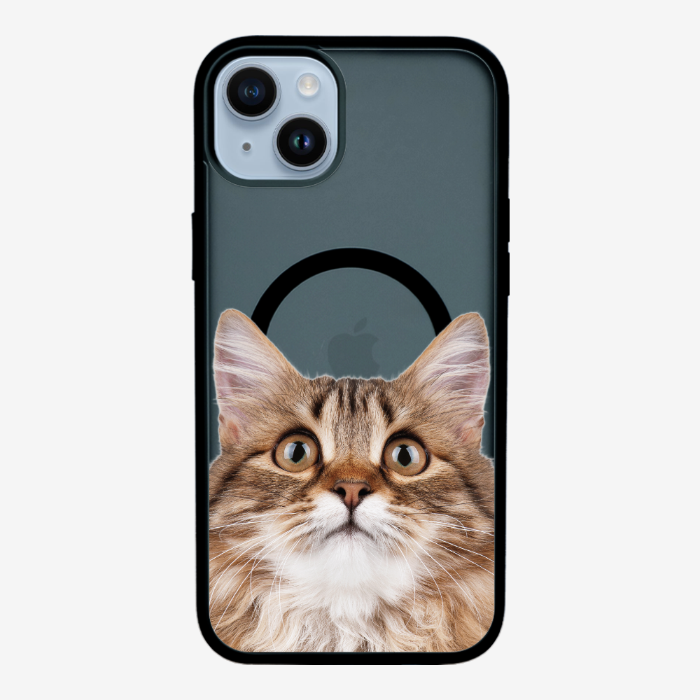 Long-haired Kitten (Transparent) Phone Case