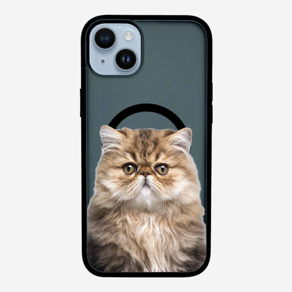 Persian Kitten (Transparent) Phone Case