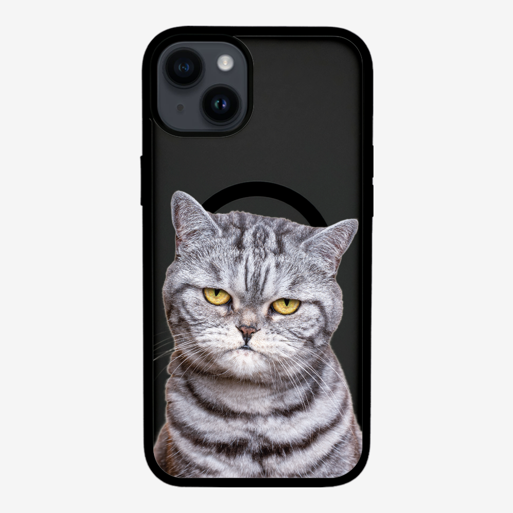 Silver Tabby (Transparent) Phone Case