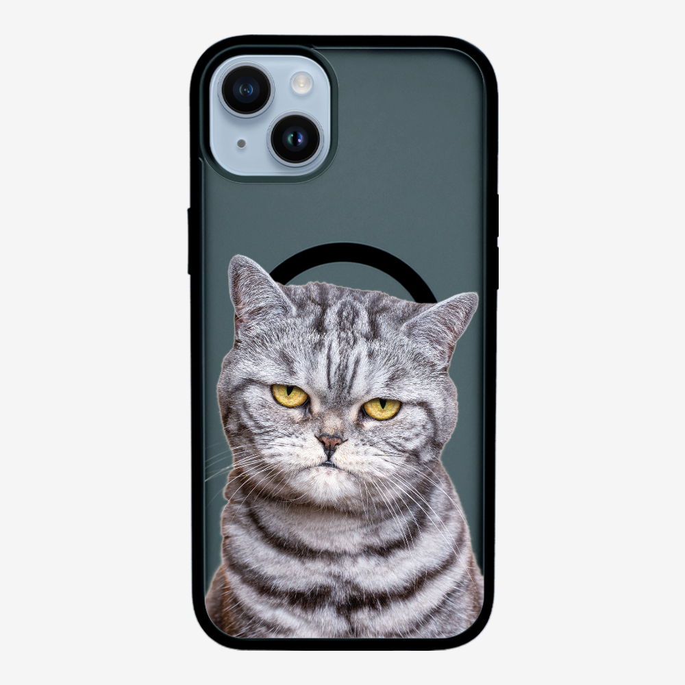 Silver Tabby (Transparent) Phone Case