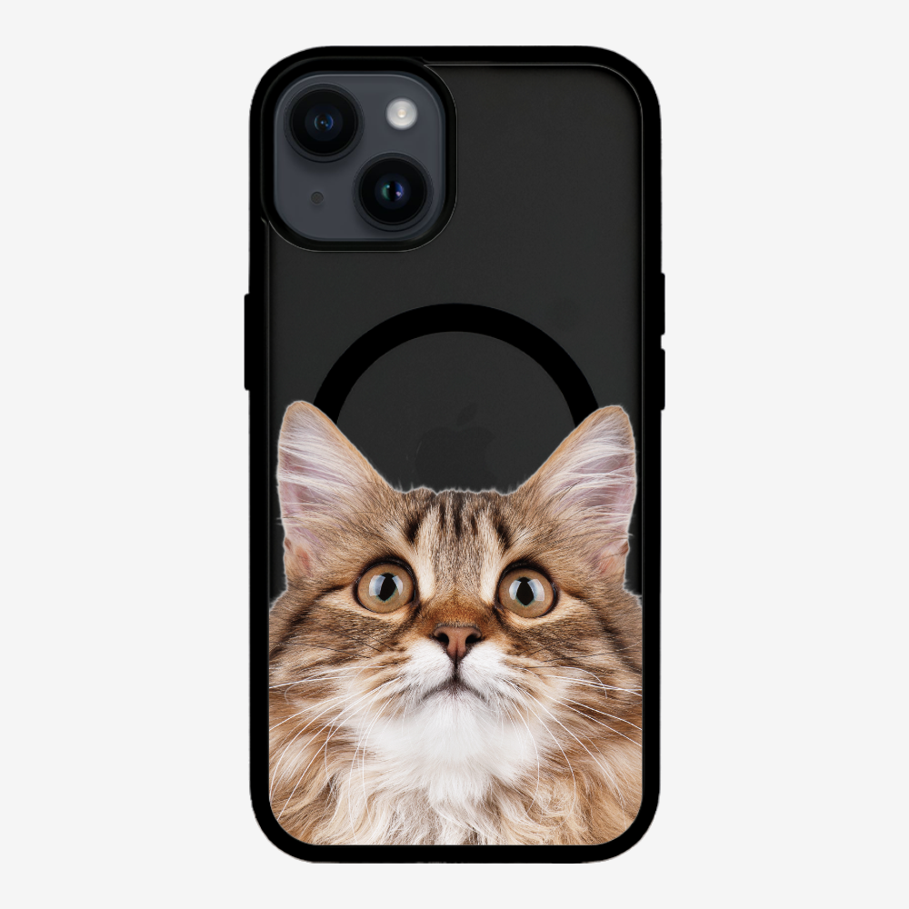 Long-haired Kitten (Transparent) Phone Case