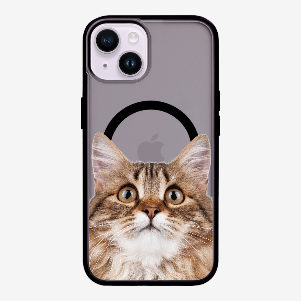 Long-haired Kitten (Transparent) Phone Case