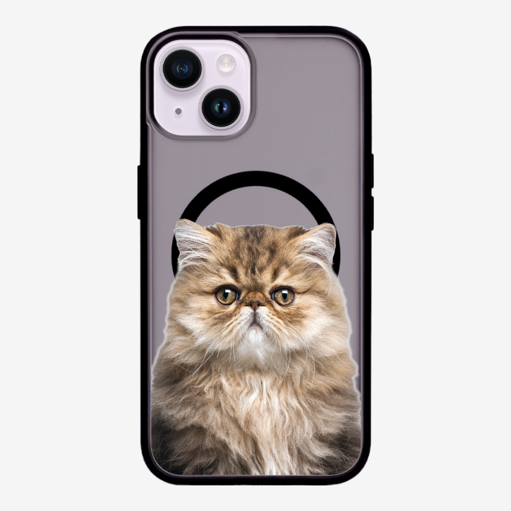 Persian Kitten (Transparent) Phone Case