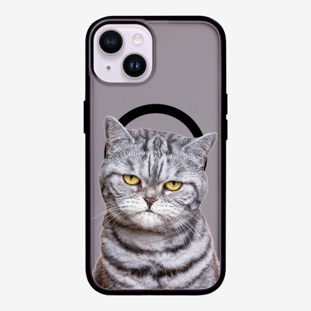 Silver Tabby (Transparent) Phone Case