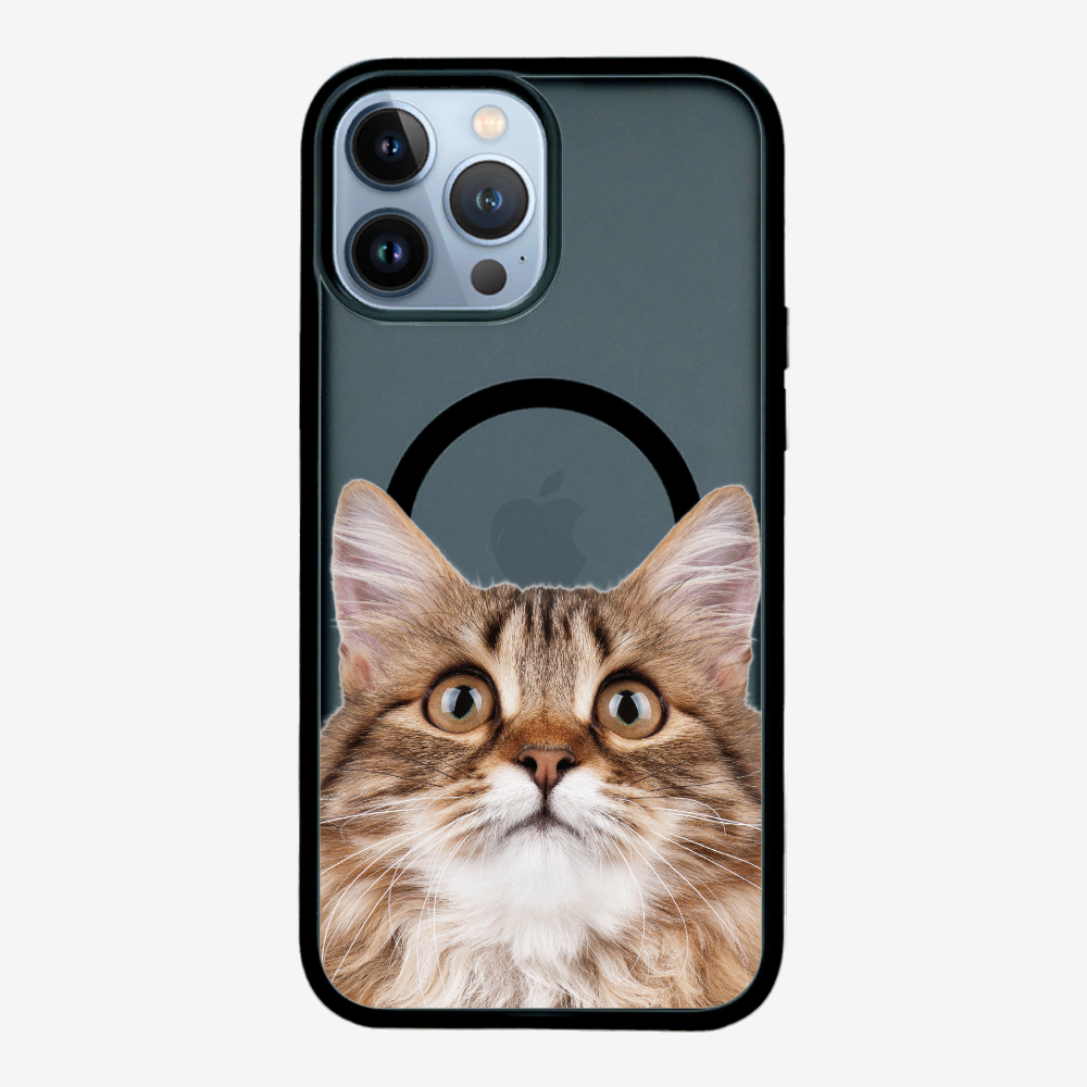 Long-haired Kitten (Transparent) Phone Case