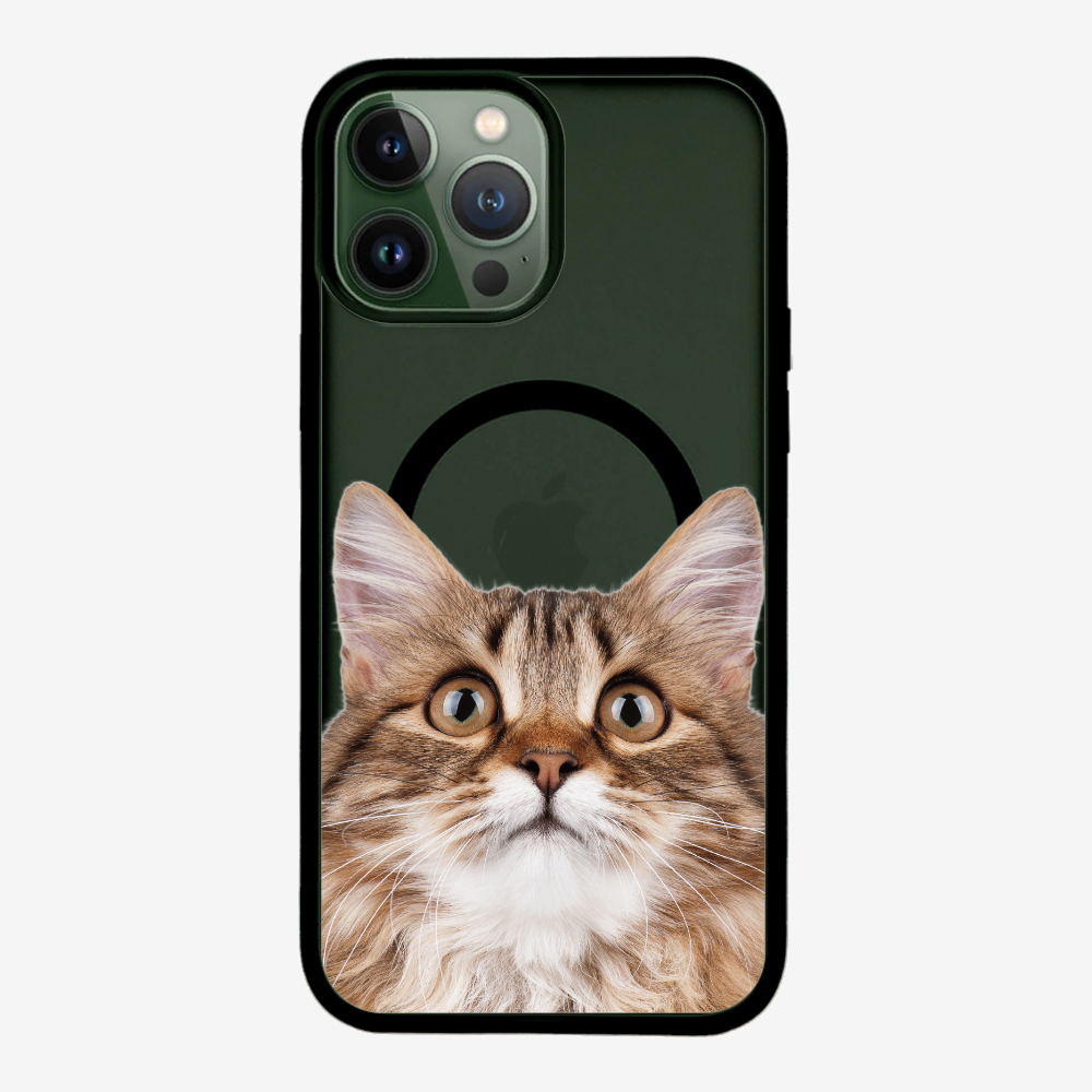 Long-haired Kitten (Transparent) Phone Case