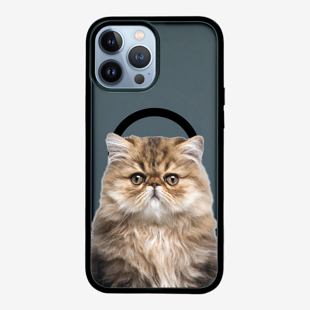 Persian Kitten (Transparent) Phone Case