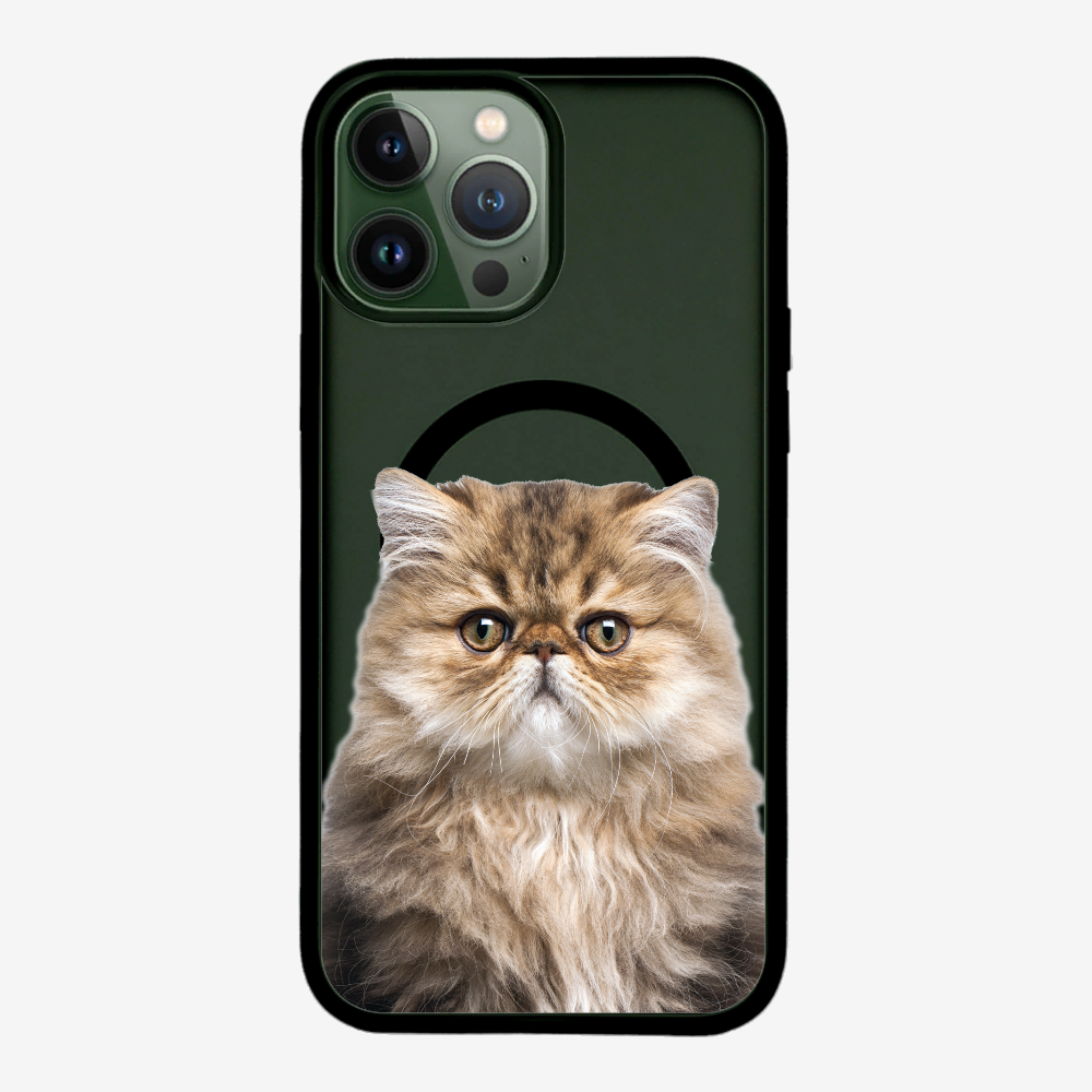 Persian Kitten (Transparent) Phone Case