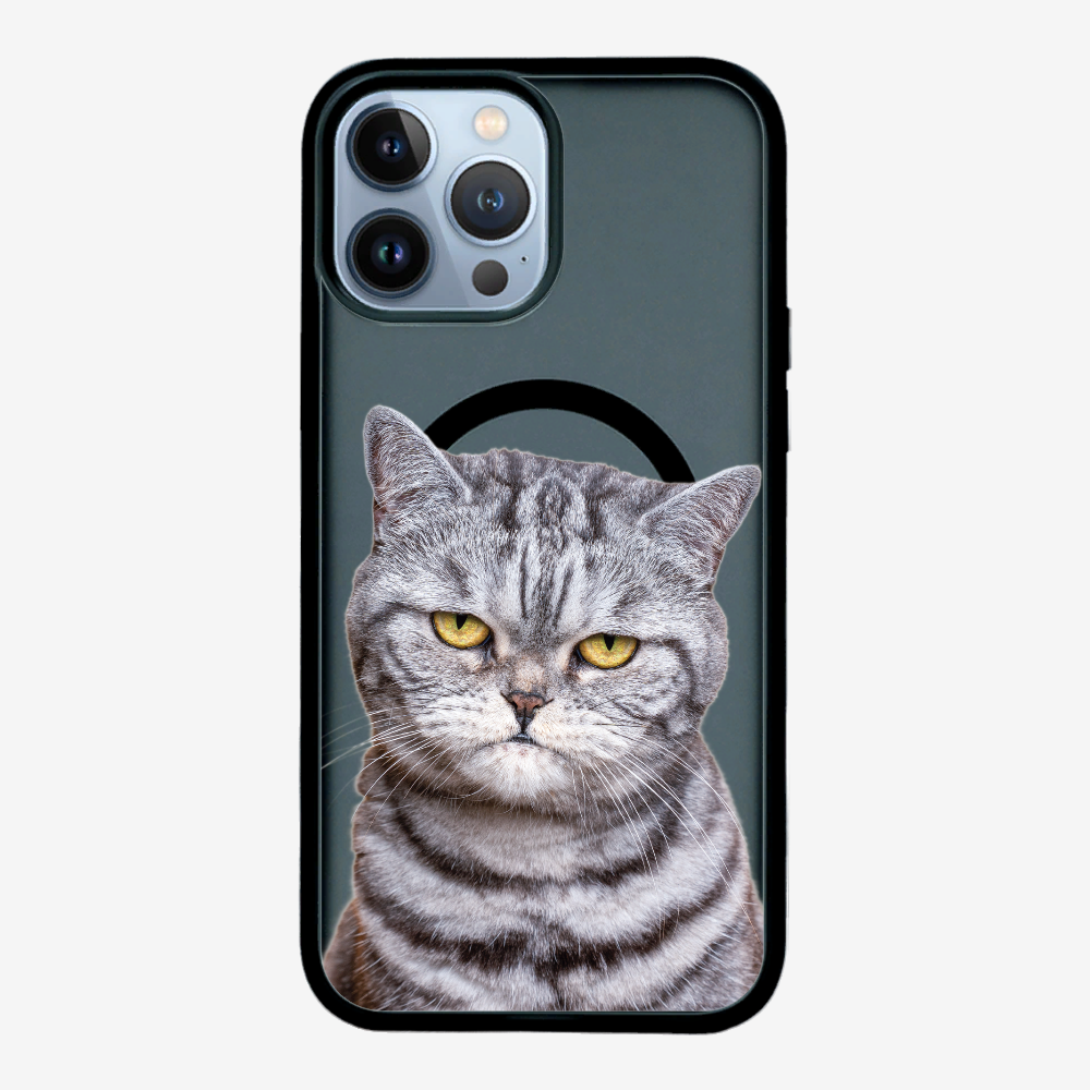 Silver Tabby (Transparent) Phone Case