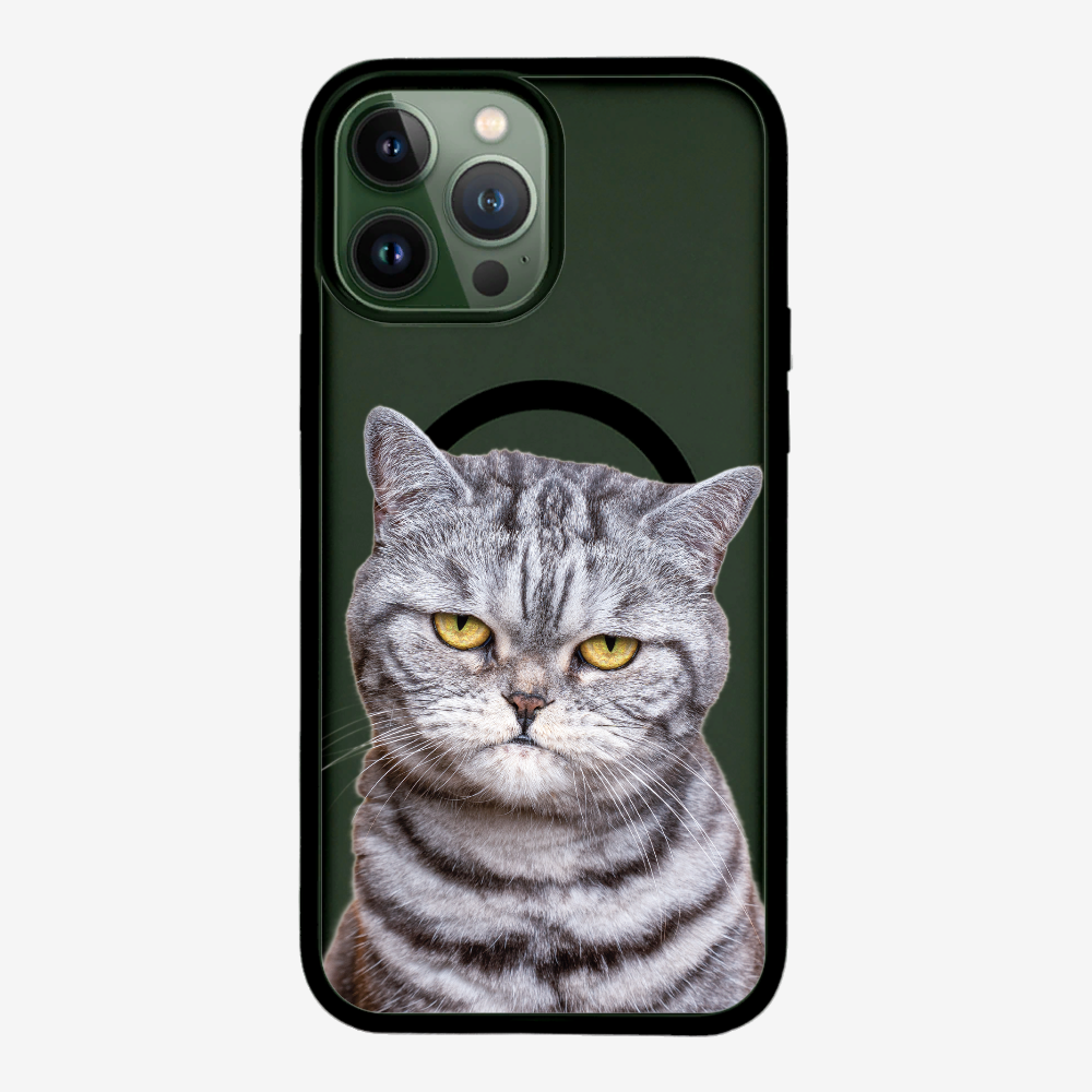 Silver Tabby (Transparent) Phone Case