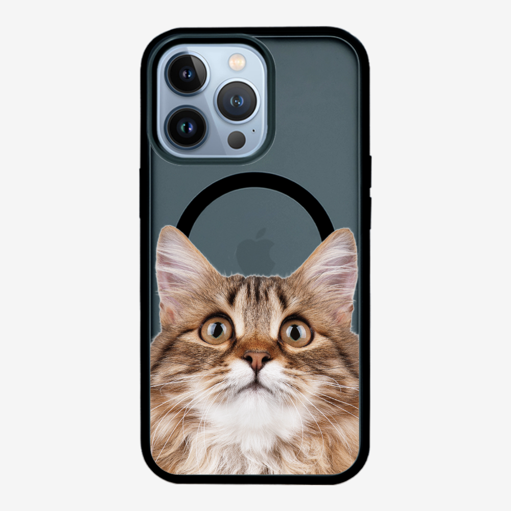 Long-haired Kitten (Transparent) Phone Case