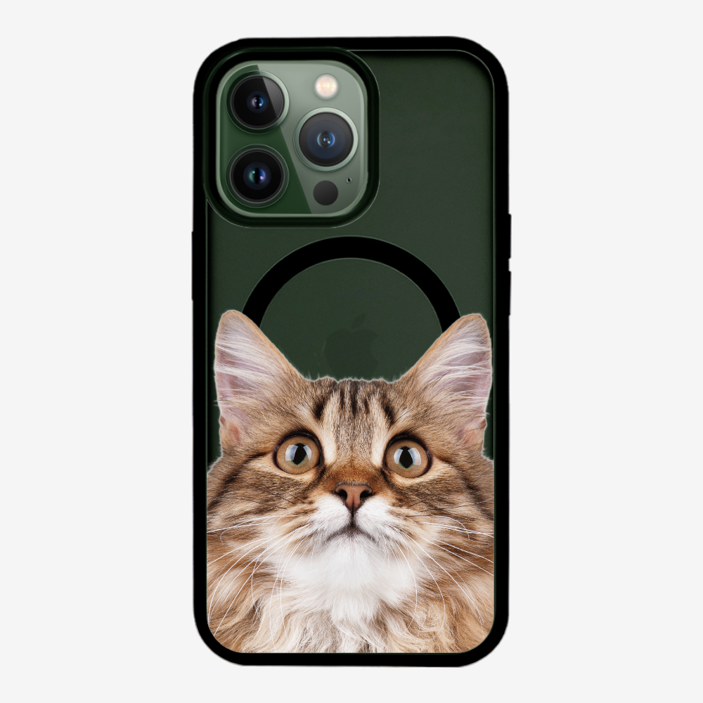 Long-haired Kitten (Transparent) Phone Case