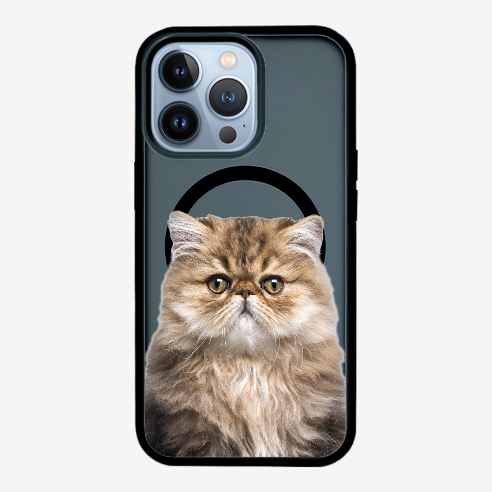 Persian Kitten (Transparent) Phone Case