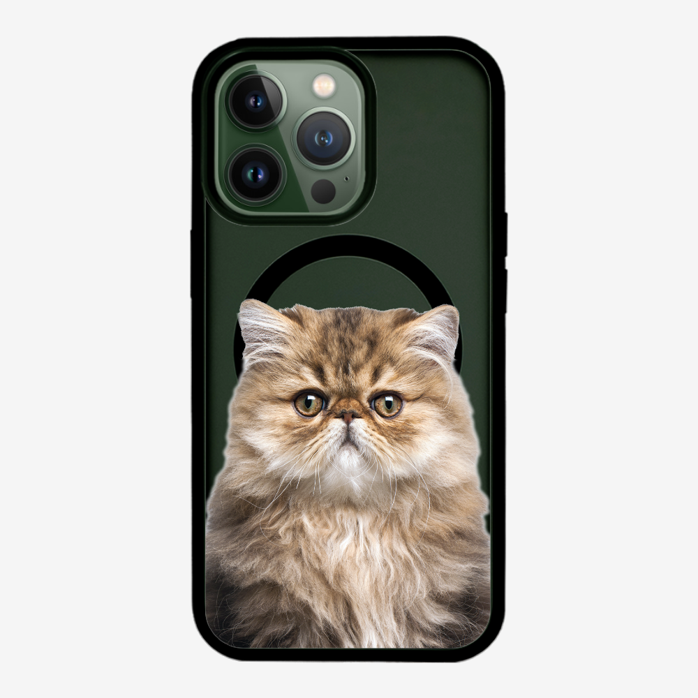 Persian Kitten (Transparent) Phone Case