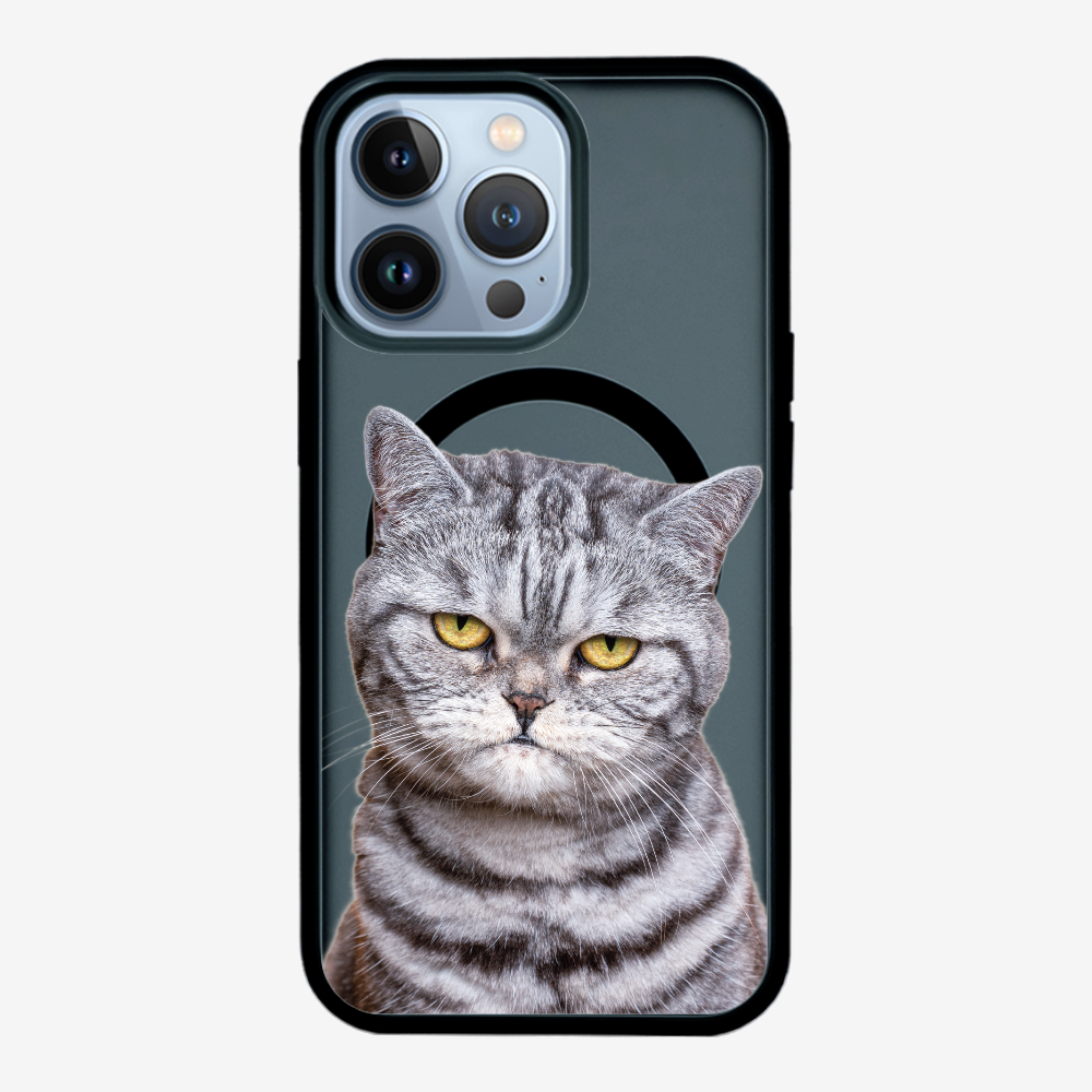 Silver Tabby (Transparent) Phone Case