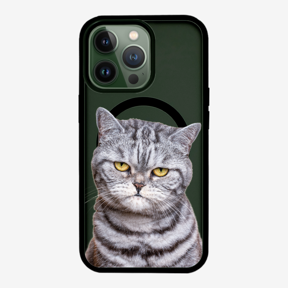 Silver Tabby (Transparent) Phone Case