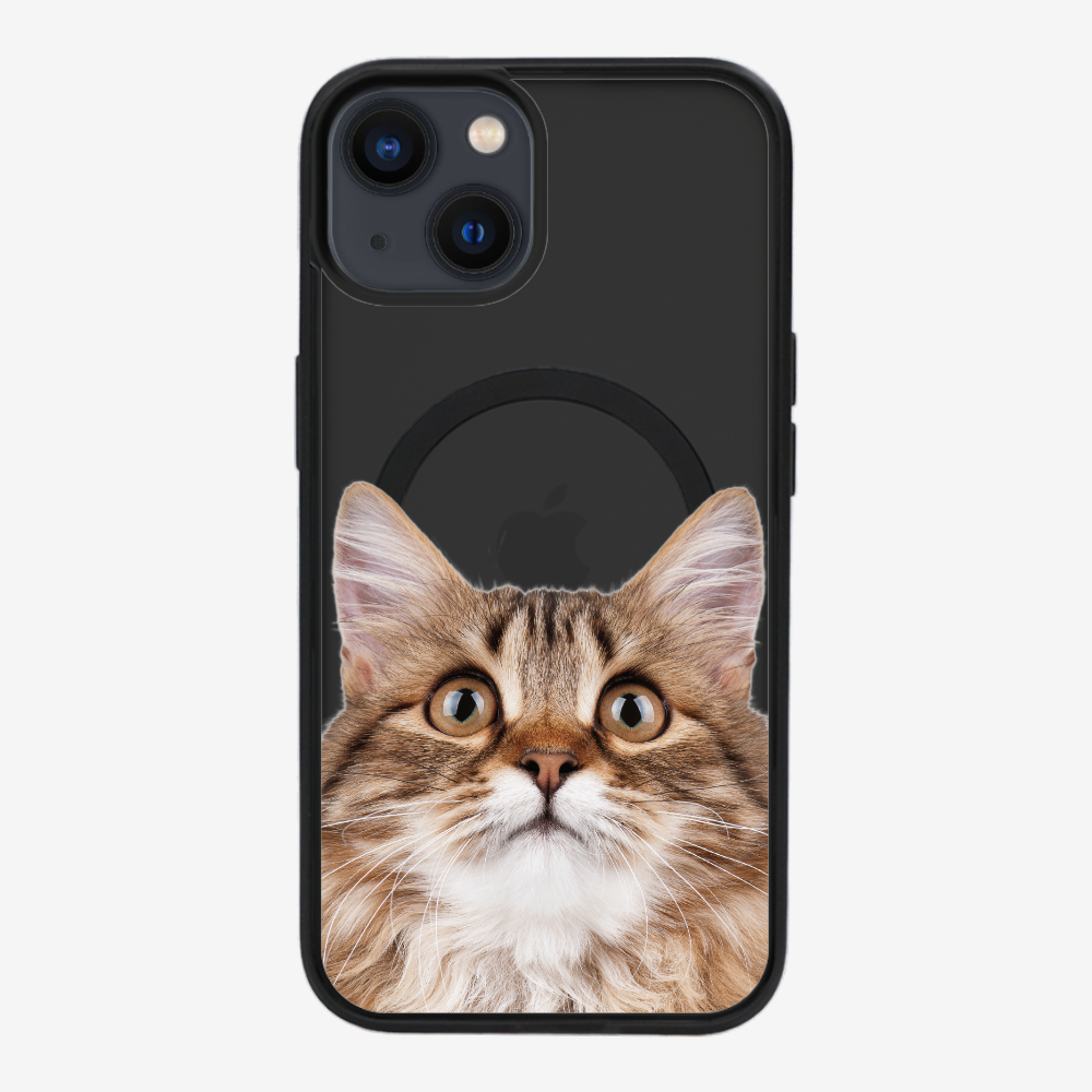 Long-haired Kitten (Transparent) Phone Case