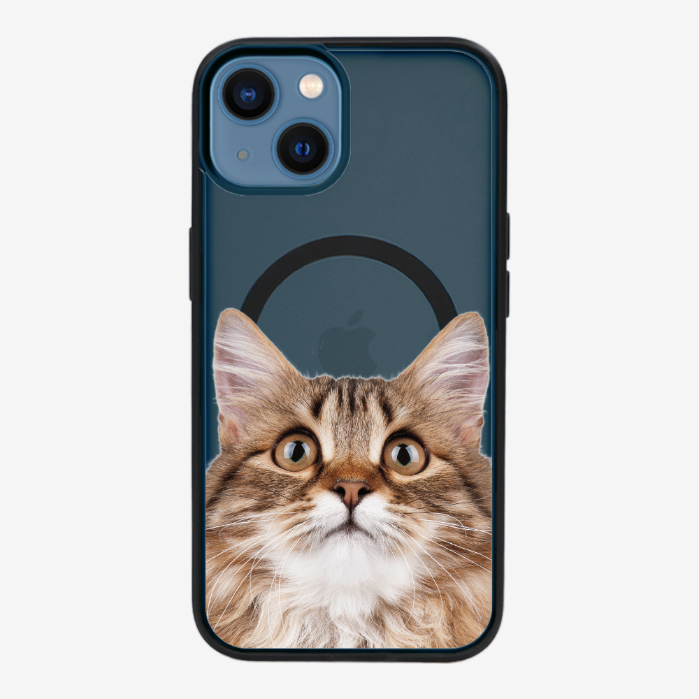 Long-haired Kitten (Transparent) Phone Case