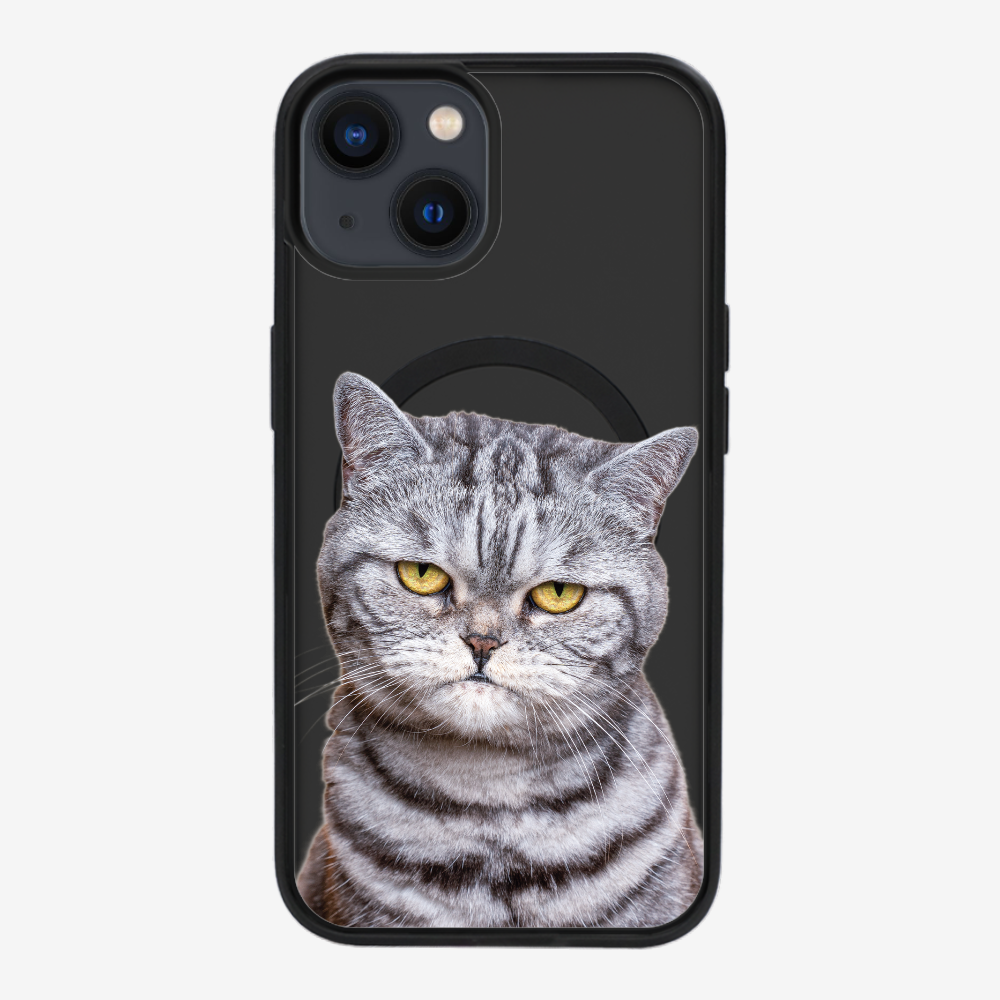 Silver Tabby (Transparent) Phone Case