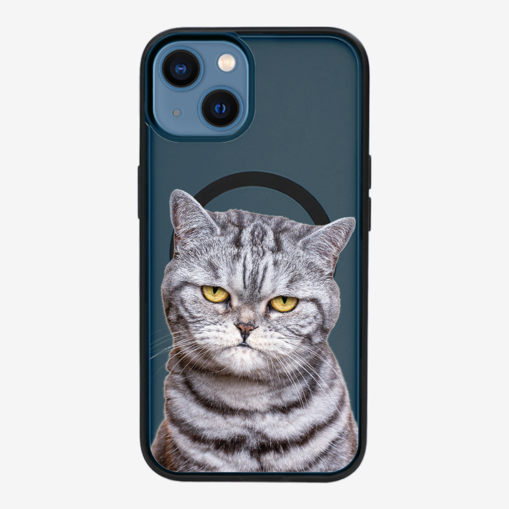 Silver Tabby (Transparent) Phone Case