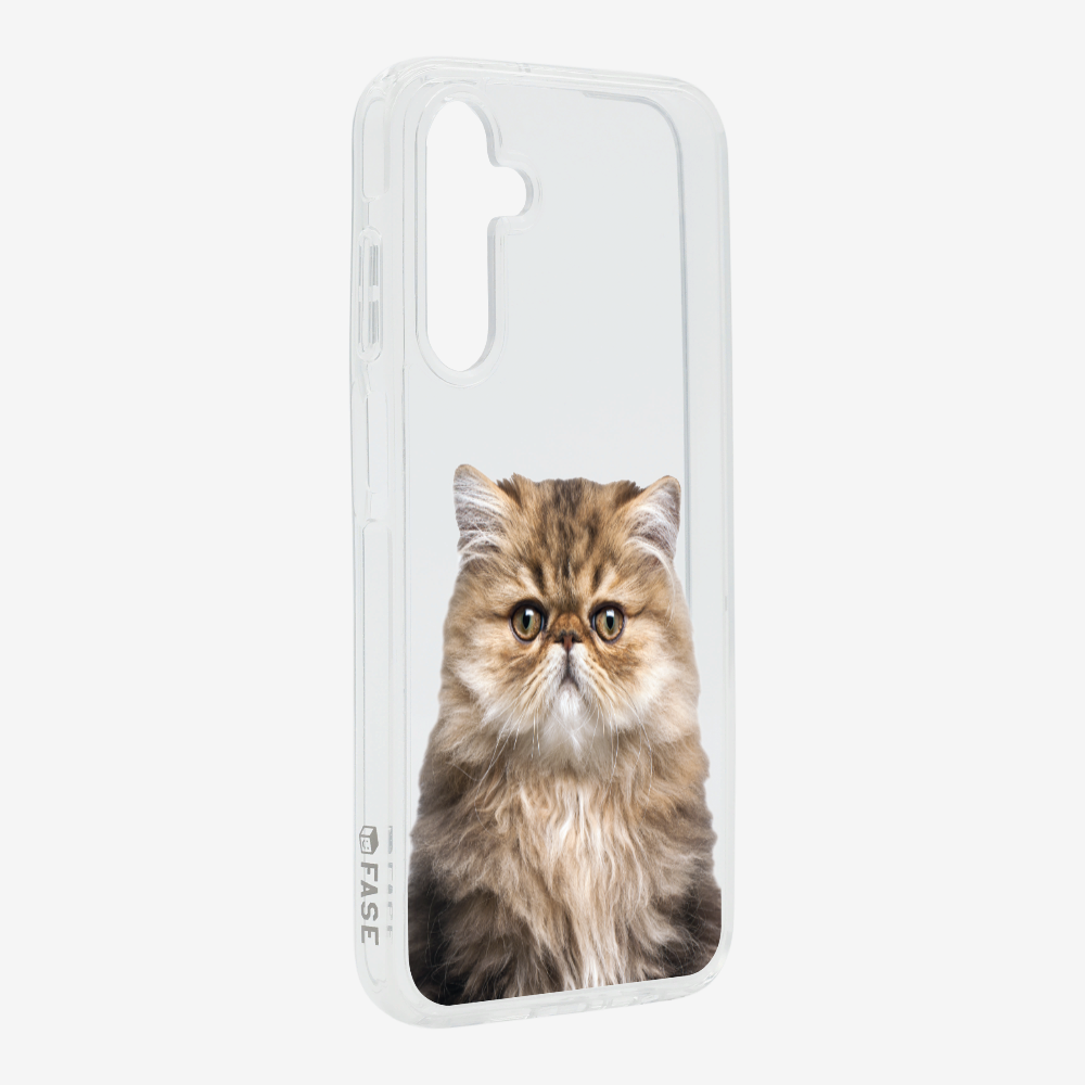 Persian Kitten (Transparent) Phone Case