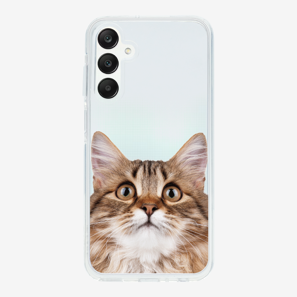 Long-haired Kitten (Transparent) Phone Case