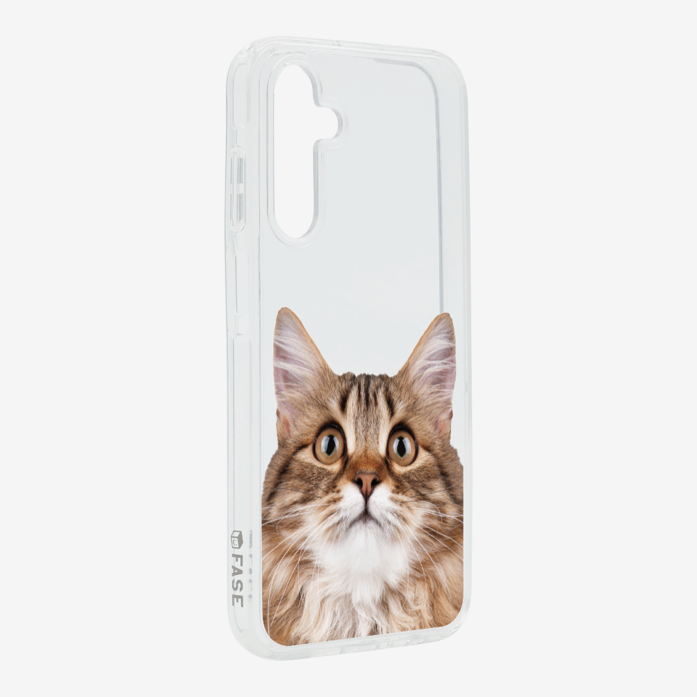 Long-haired Kitten (Transparent) Phone Case