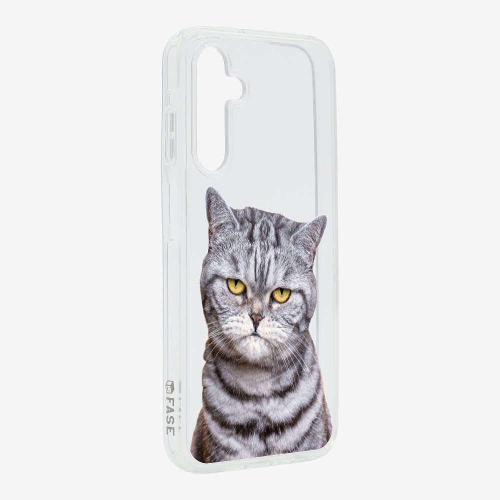 Silver Tabby (Transparent) Phone Case