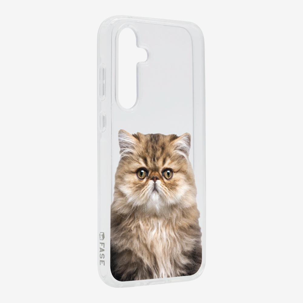 Persian Kitten (Transparent) Phone Case