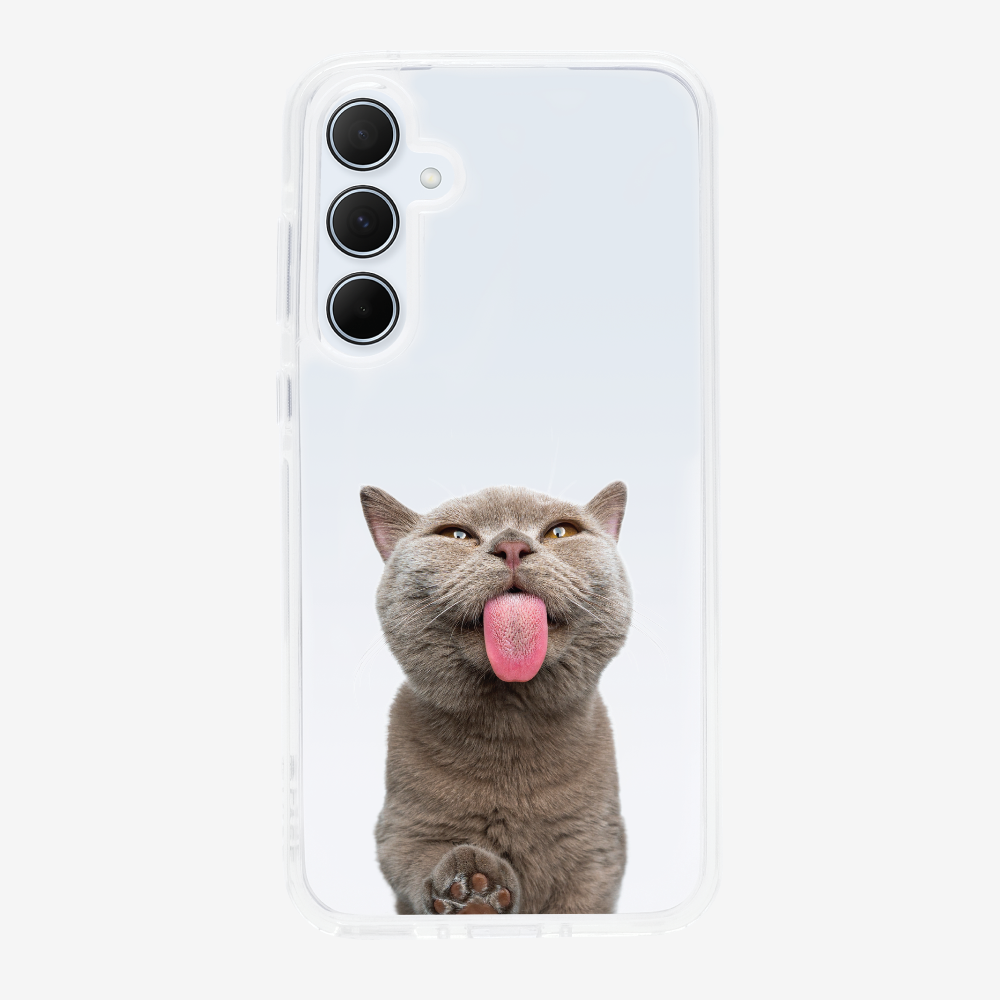 British Shorthair Kitten (Transparent) Phone Case