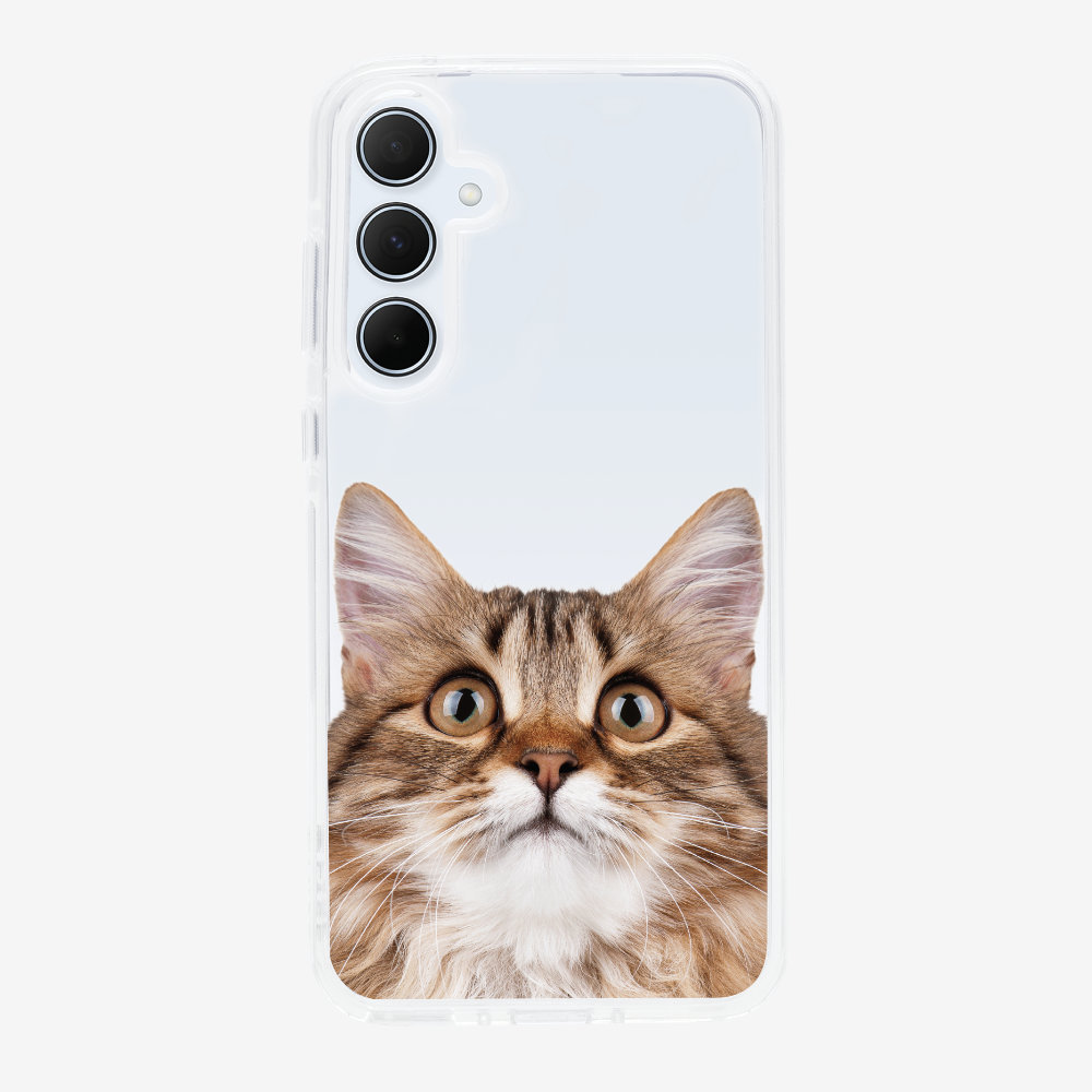 Long-haired Kitten (Transparent) Phone Case