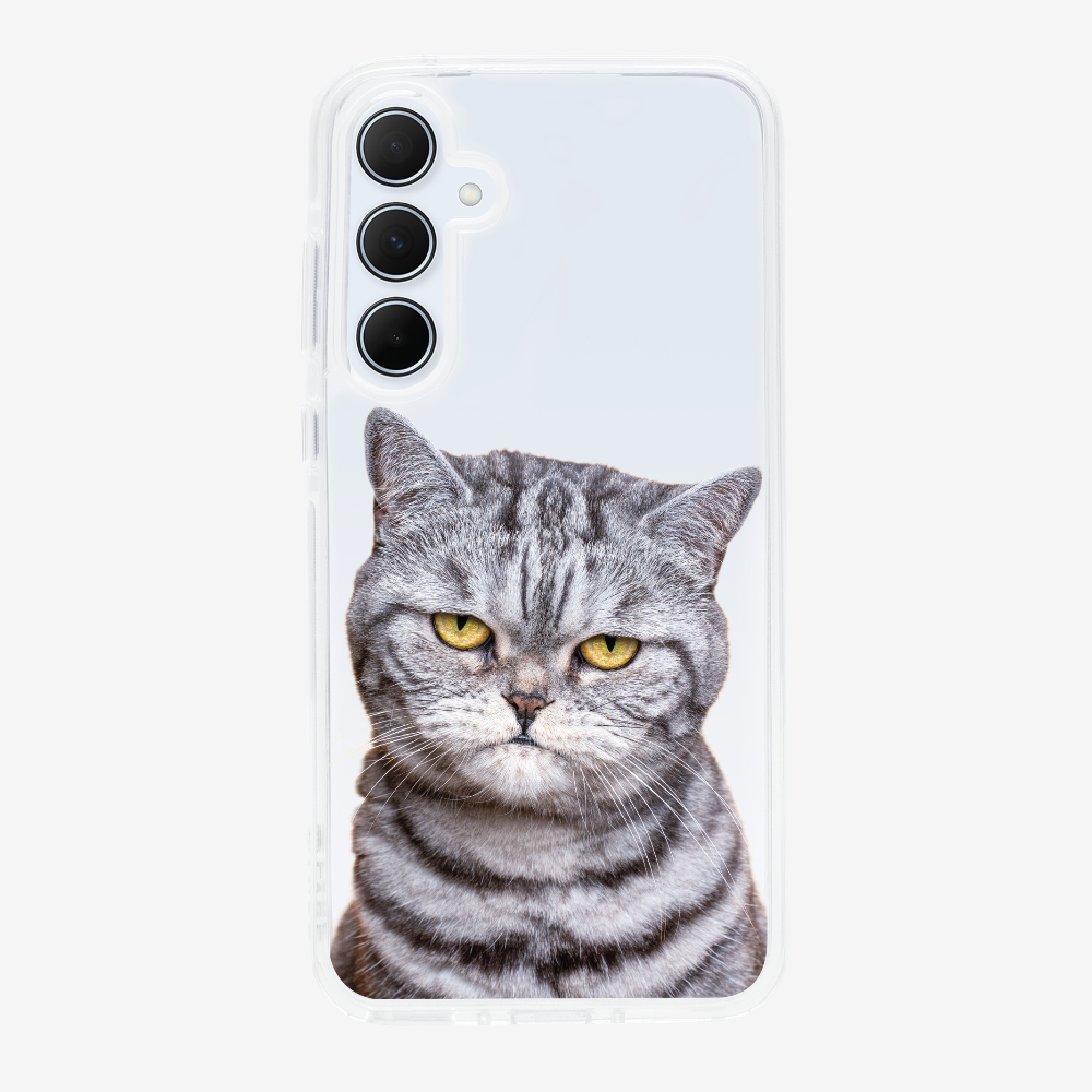 Silver Tabby (Transparent) Phone Case