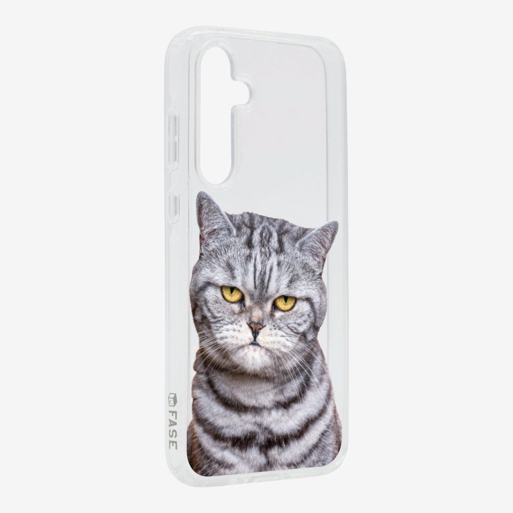 Silver Tabby (Transparent) Phone Case