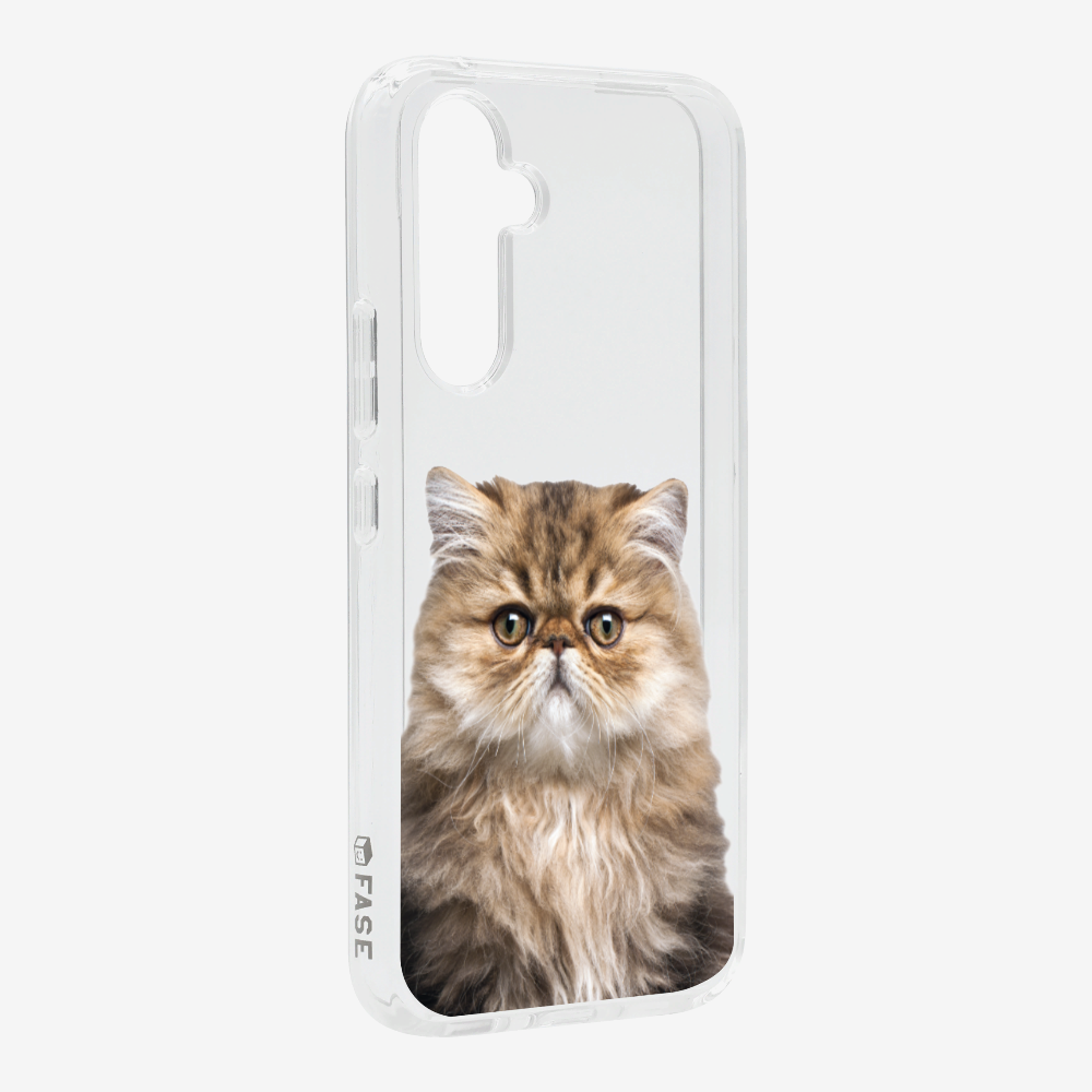 Persian Kitten (Transparent) Phone Case