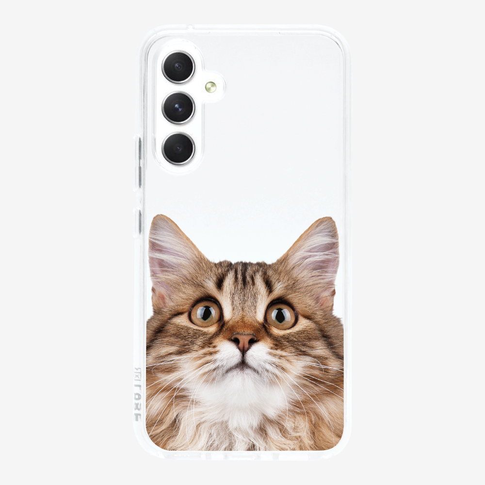 Long-haired Kitten (Transparent) Phone Case