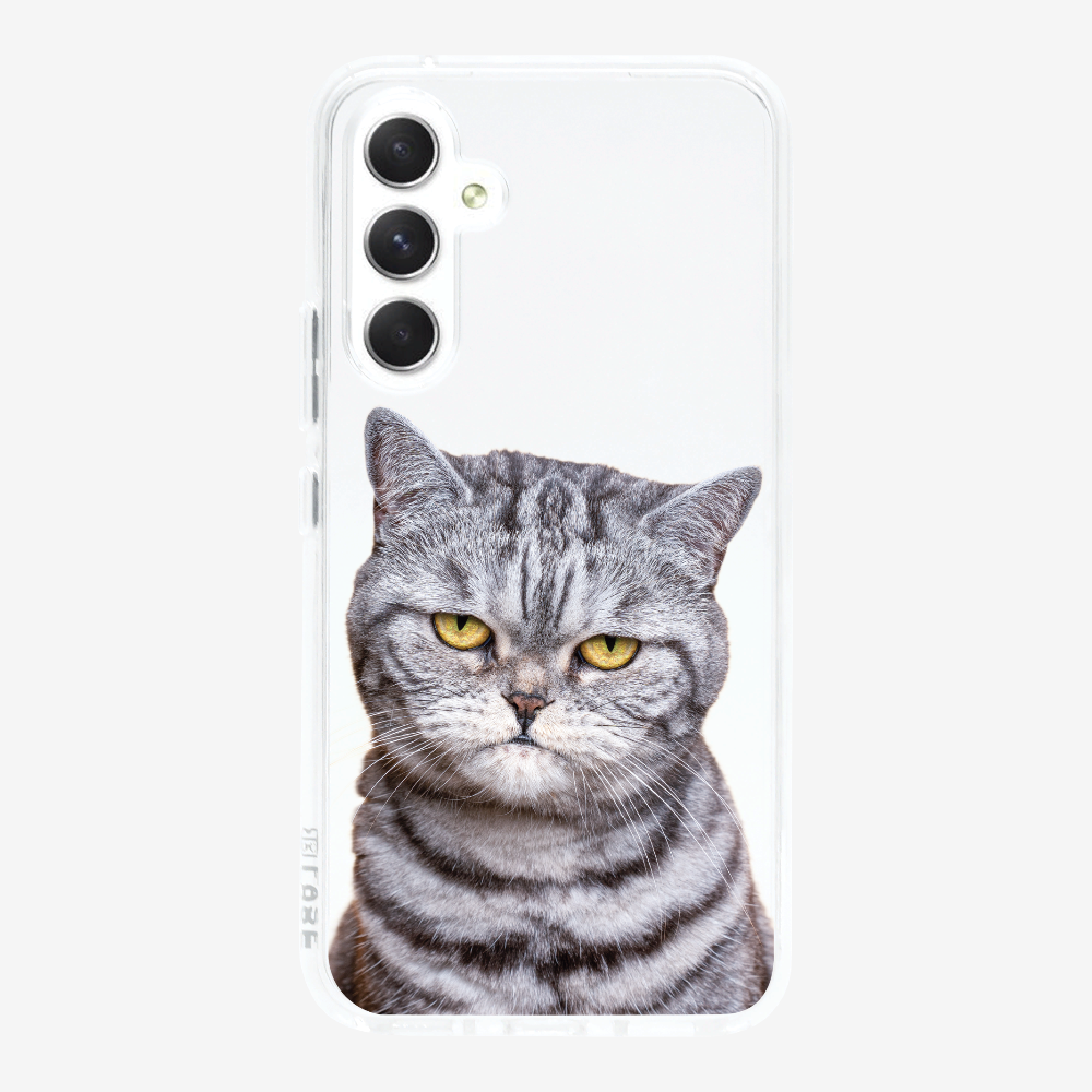 Silver Tabby (Transparent) Phone Case