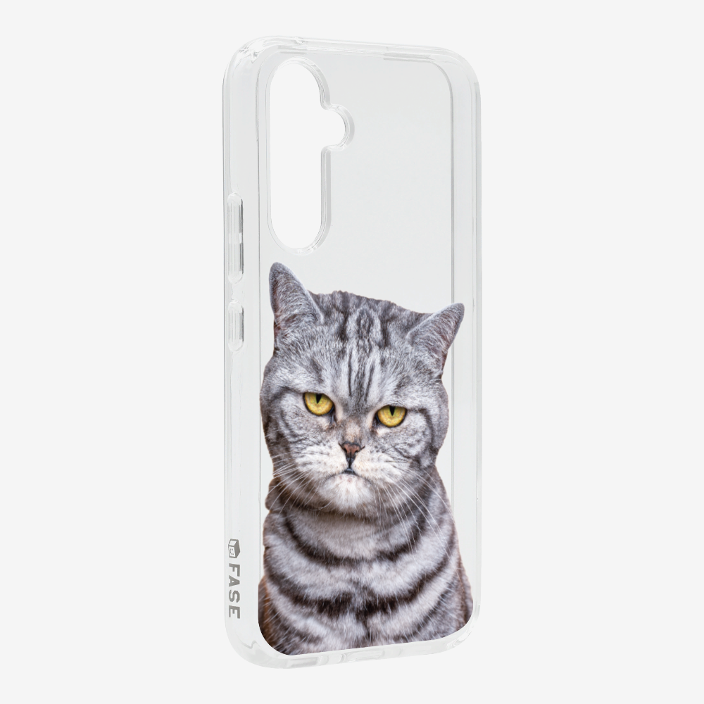 Silver Tabby (Transparent) Phone Case