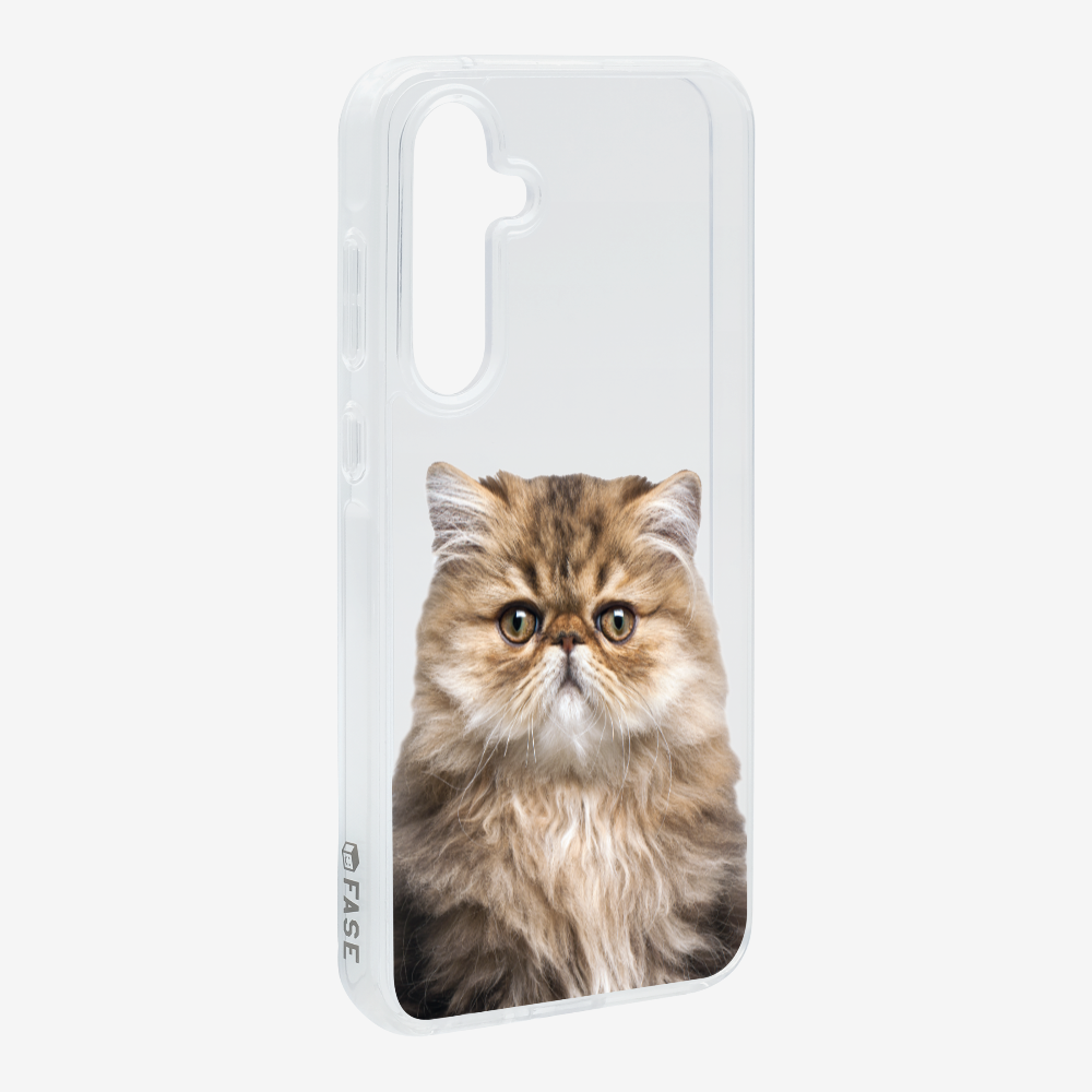 Persian Kitten (Transparent) Phone Case