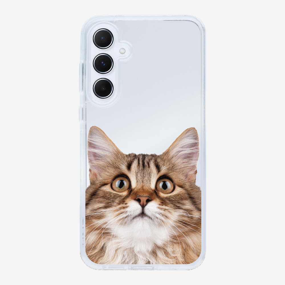 Long-haired Kitten (Transparent) Phone Case