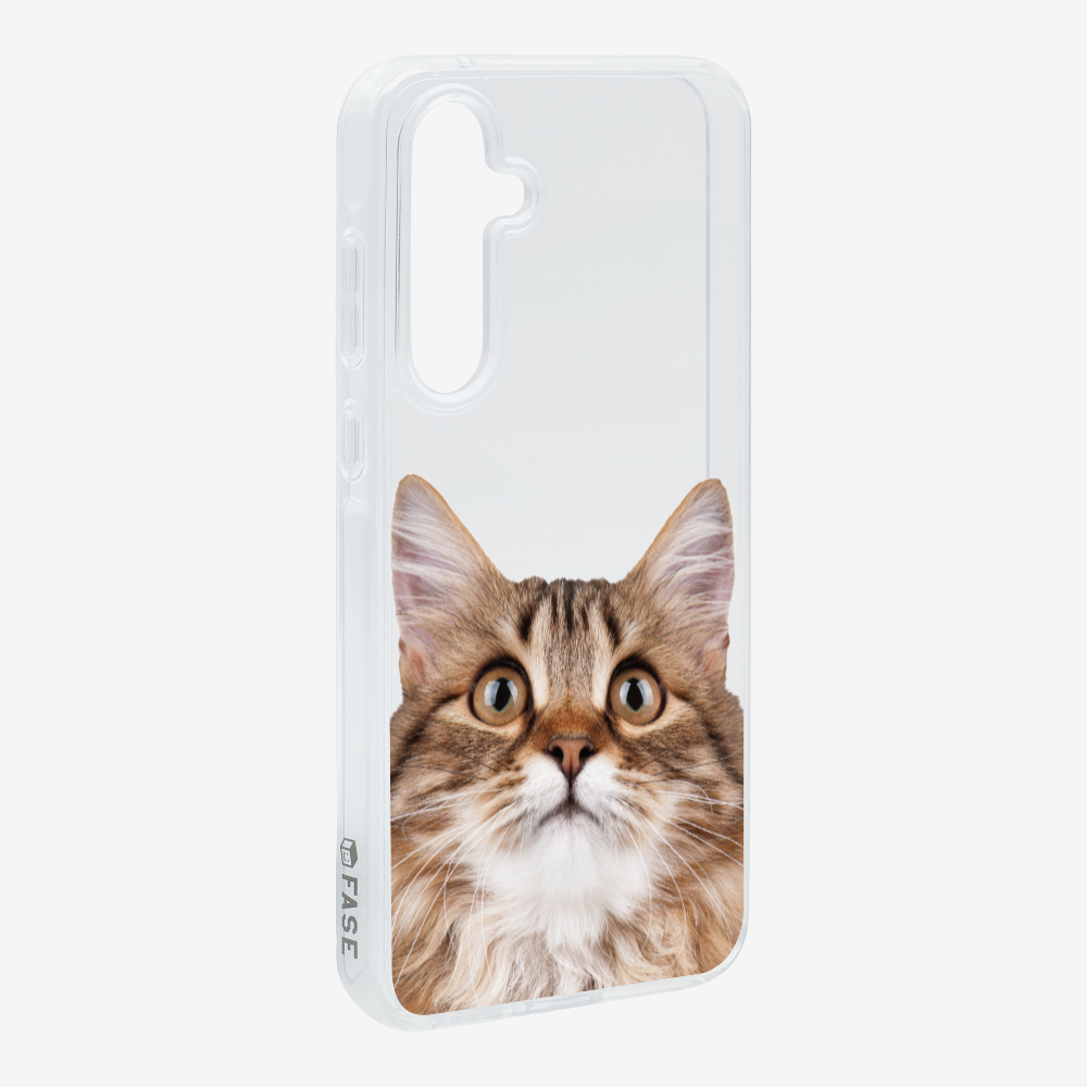 Long-haired Kitten (Transparent) Phone Case